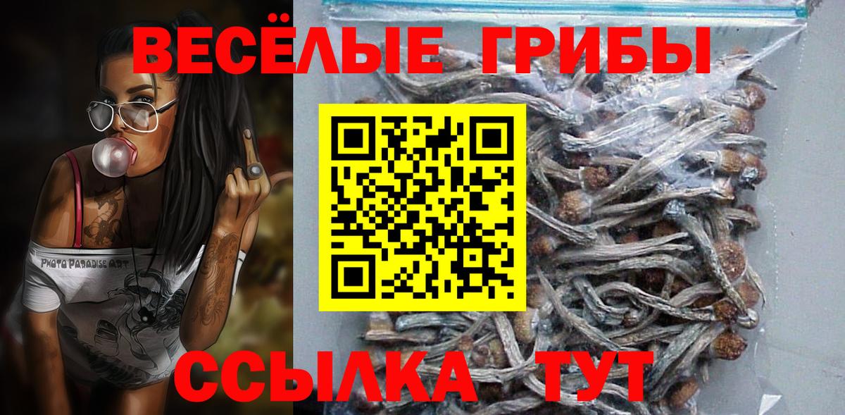 Галлюциногенные грибы Magic Shrooms  Вход с VPN  закладки  Керчь 