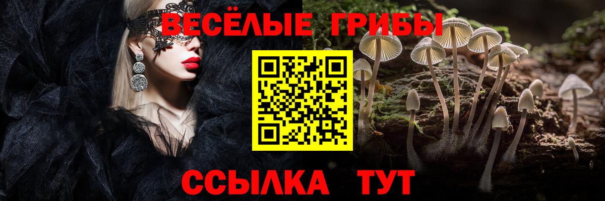 Псилоцибиновые грибы мицелий Керчь